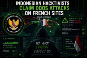 Garuda Kernel Error System Claims France DDoS Attacks