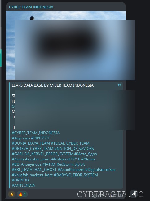 Cyber Team Indonesia evidence