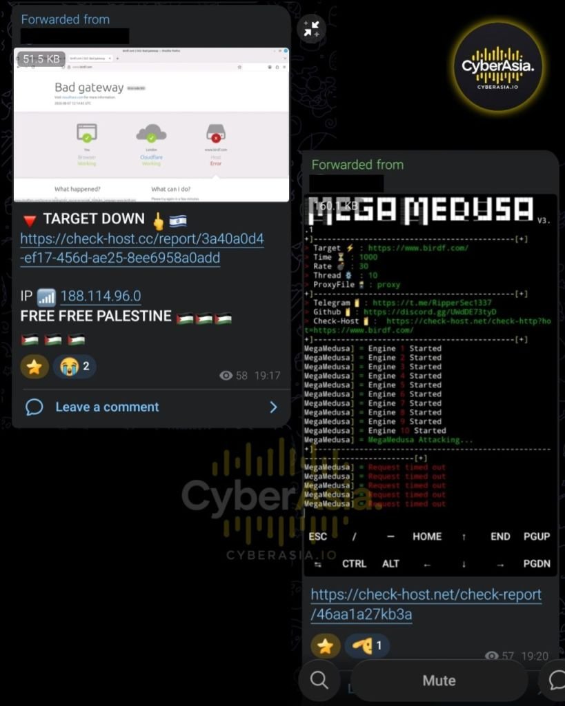 RipperSec Escalates #OpZionistV2, Targets Israel-U.S. Bird Foundation - CyberAsia Threat Intel Evidence