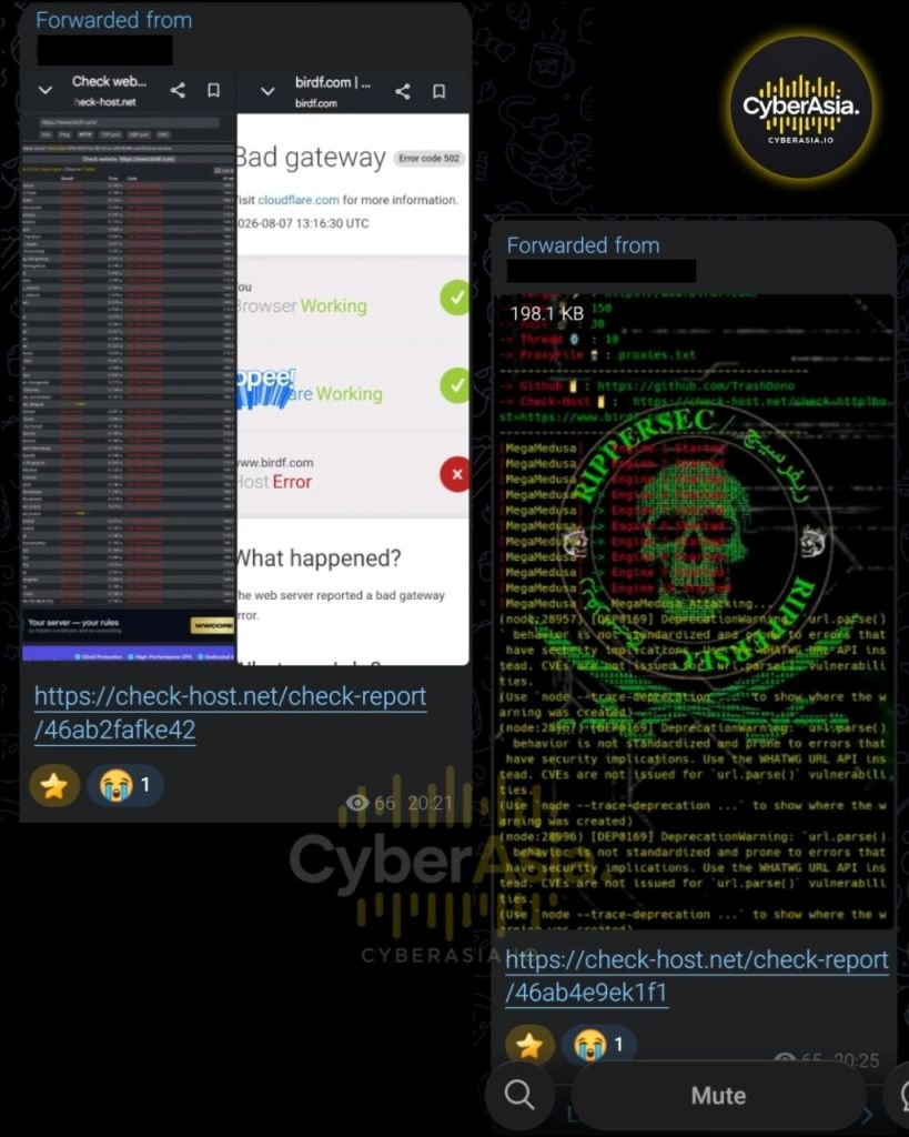 RipperSec Escalates #OpZionistV2, Targets Israel-U.S. Bird Foundation - CyberAsia Threat Intel Evidence