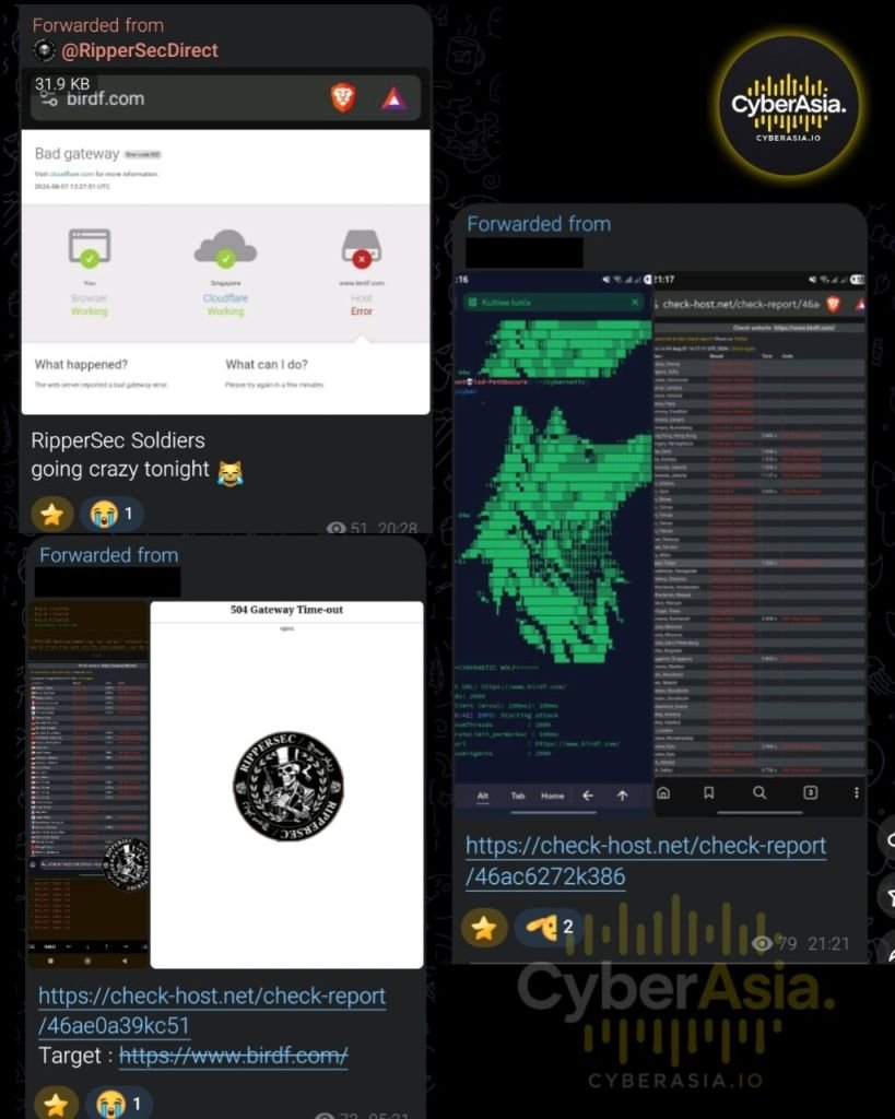 RipperSec Escalates #OpZionistV2, Targets Israel-U.S. Bird Foundation - CyberAsia Threat Intel Evidence