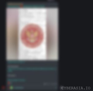 Indonesian Hacktivists Claim Data Breach of Russian Retail Giant M.video