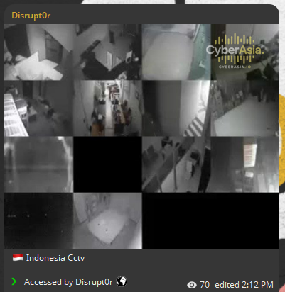 Disrupt0r Breaches Dozens of Indonesian CCTVs