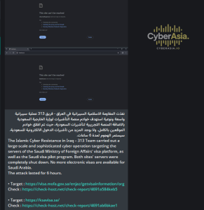 313 Team Hacktivists Target Saudi Arabia’s e-Visa Portals in Major DDoS Campaign