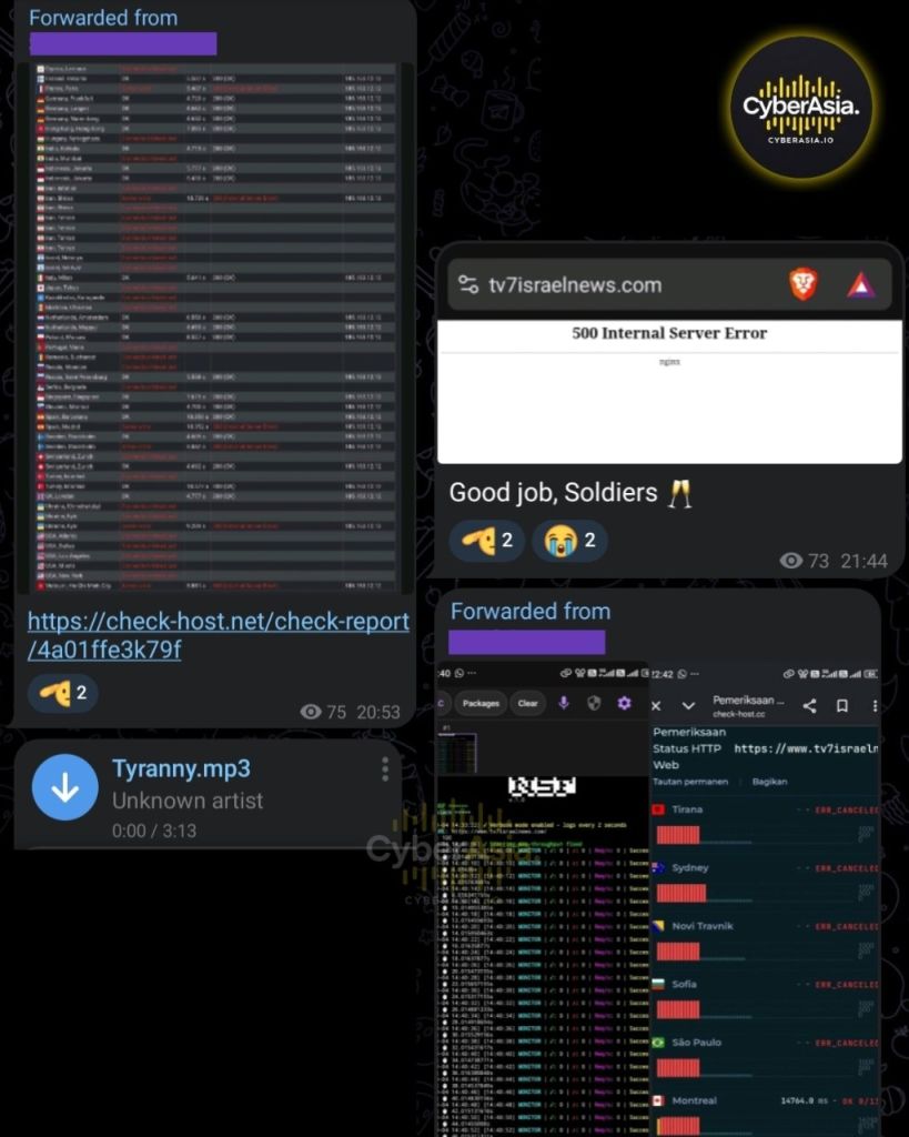 Figure 4 : Check-host report with the RipperSec logo and TV7 DOWN post
