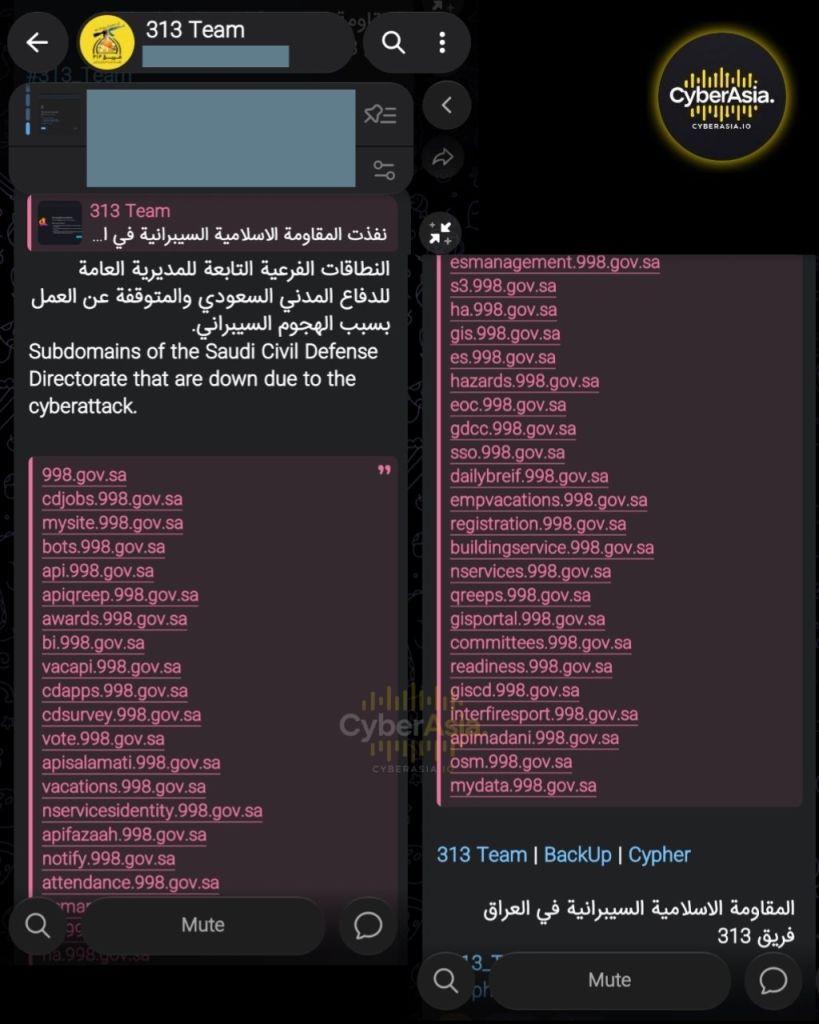 Figure 3 : A list of about 40 998.gov.sa subdomains that 313 Team says also went down