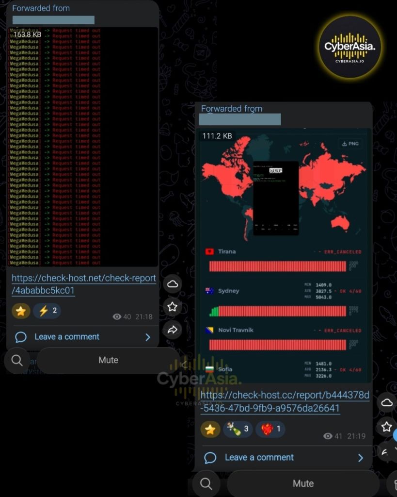 Figure 3 : MegaMedusa timeout log and red check-host.cc world map in the Meitav DDoS evidence