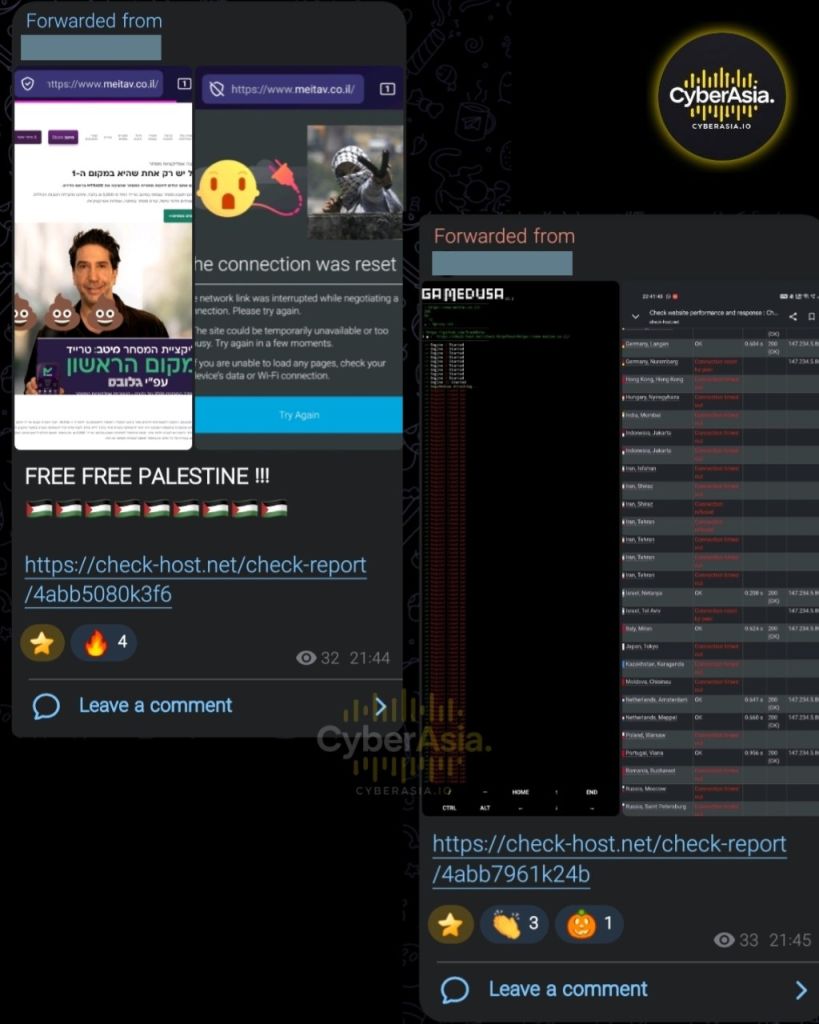 Figure 4 : Meitav DDoS evidence of the meitav.co.il homepage and a connection reset error beside check-host results