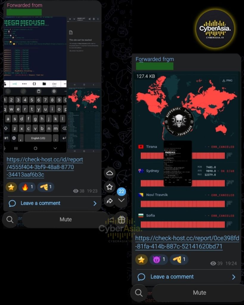Figure 3 : Target card for the RipperSec DDoS operation listing ports 80 and 443, Fly.io as the ISP, and the group's protest message