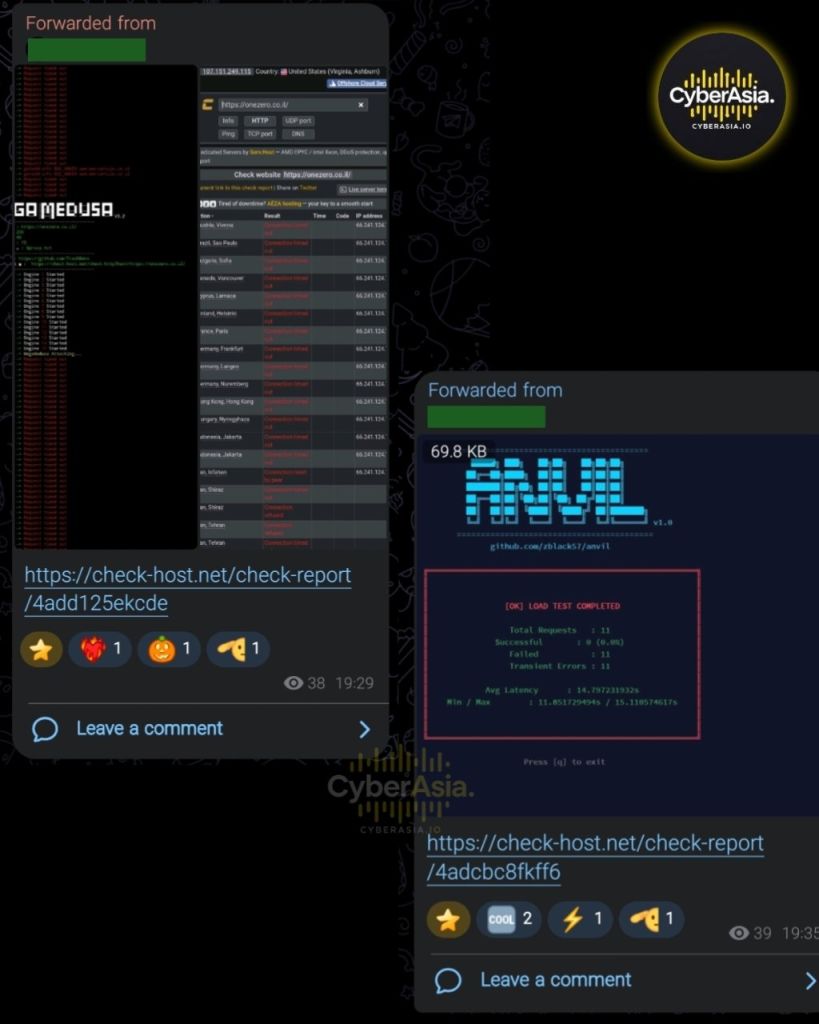 Figure 5 : MegaMedusa console with Request Timed Out lines beside a check-host table, and an ANVIL load test showing 0 successful requests out of 11