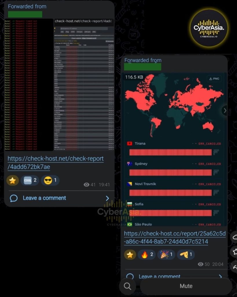 Figure 8 : Check-host terminal output and a global map marking Tirana, Sydney, Novi Travnik, Sofia and São Paulo as ERR_CANCELED in the RipperSec DDoS test