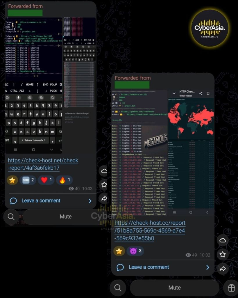 Figure 4 : RipperSec DDoS console output with MegaMedusa engines started, a browser error page, and a check-host world map shaded red