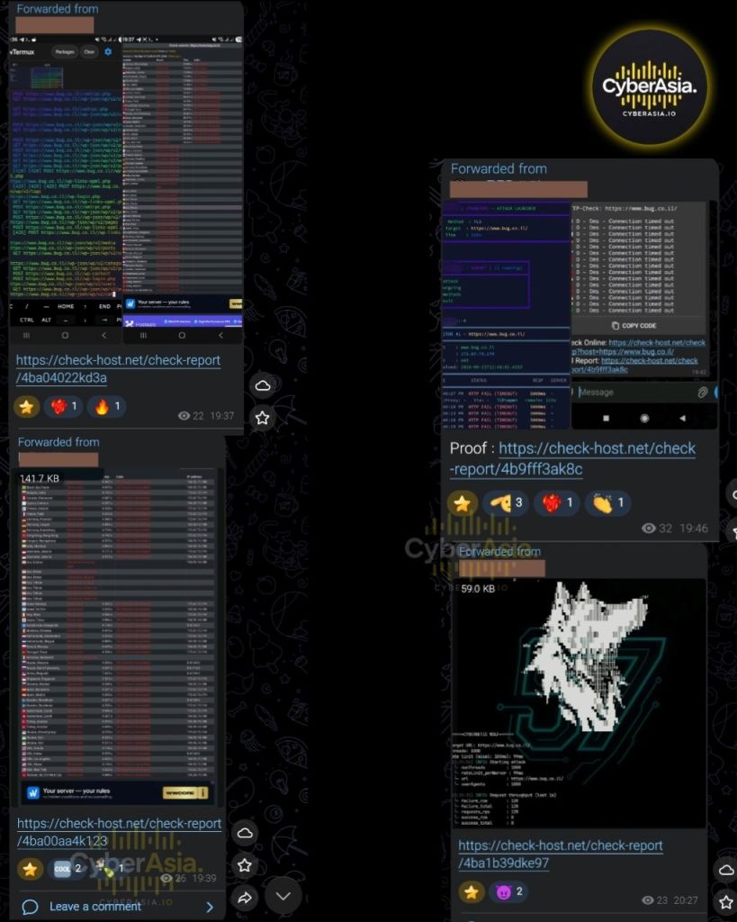 Figure 4 : Attack tool consoles and check-host proof links posted during the RipperSec DDoS attack on BUG